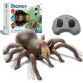 discovery-stem-remote-control-tarantula-spider-32434842828887_720x-3