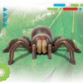 discovery-stem-remote-control-tarantula-spider-32434843091031_720x