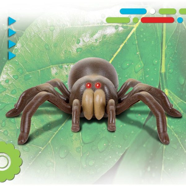 discovery-stem-remote-control-tarantula-spider-32434843091031_720x