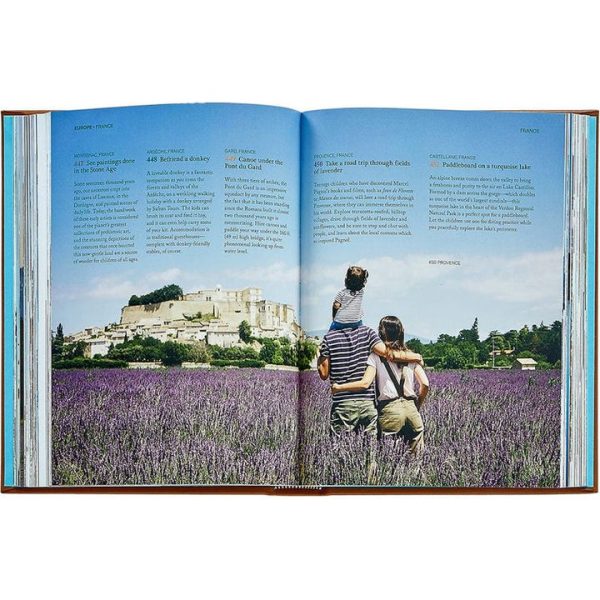 graphic-image-books-the-family-bucket-list-book-leather-edition-1152077163_720x-1