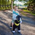 ponycycle-inc-outdoor-black-ride-on-horse-ages-4-9-31162521976919_720x-1